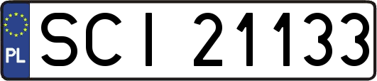 SCI21133