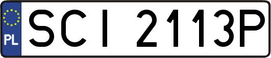 SCI2113P