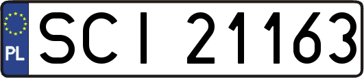 SCI21163