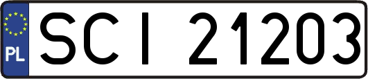 SCI21203