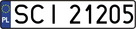 SCI21205