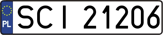 SCI21206