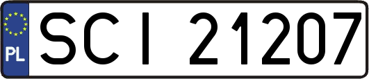 SCI21207