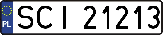 SCI21213
