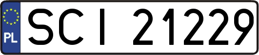 SCI21229