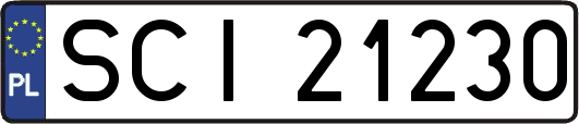 SCI21230