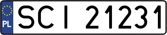 SCI21231