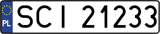 SCI21233