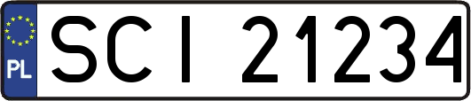 SCI21234