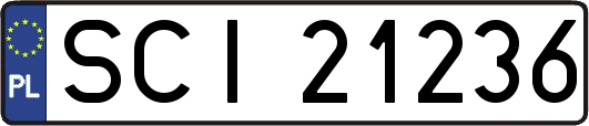 SCI21236