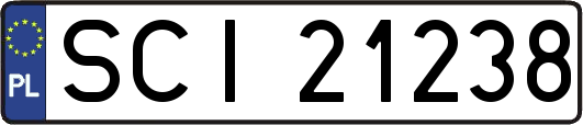 SCI21238