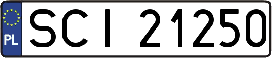 SCI21250
