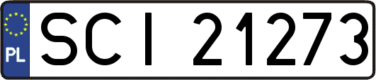 SCI21273