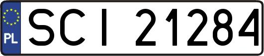 SCI21284