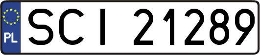 SCI21289