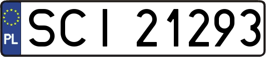 SCI21293