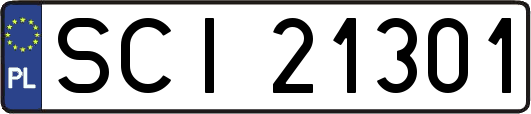 SCI21301