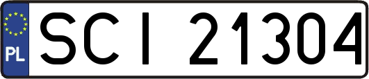 SCI21304