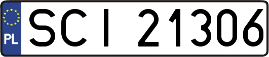 SCI21306