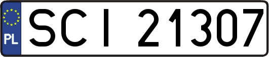 SCI21307