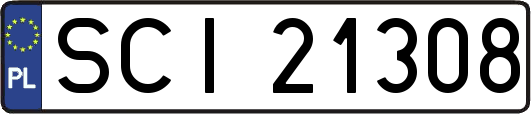 SCI21308