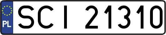 SCI21310