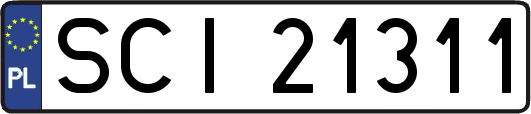 SCI21311