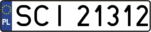 SCI21312