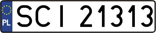 SCI21313