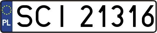 SCI21316