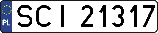 SCI21317
