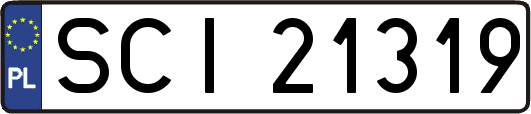 SCI21319
