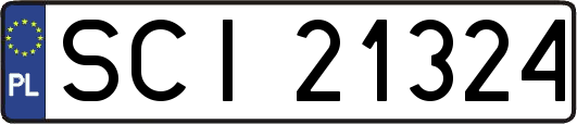 SCI21324