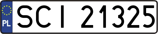 SCI21325