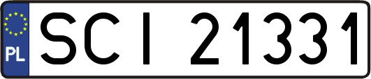 SCI21331