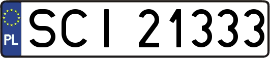 SCI21333