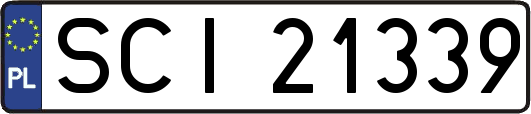 SCI21339