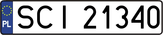 SCI21340