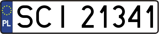 SCI21341