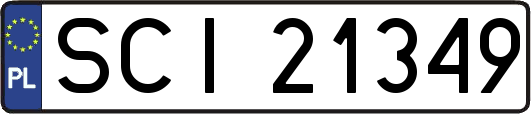 SCI21349