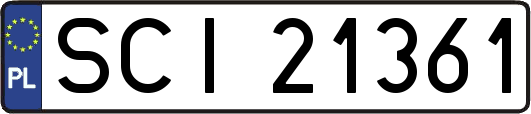 SCI21361