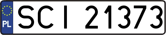 SCI21373