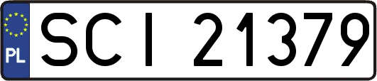 SCI21379