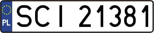 SCI21381