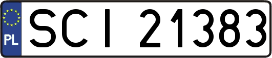 SCI21383