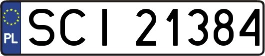SCI21384