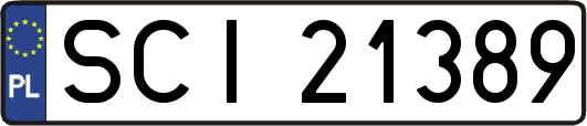 SCI21389