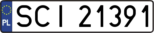 SCI21391