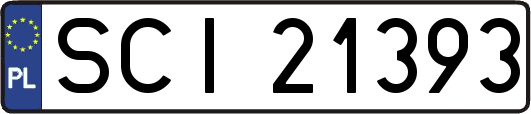 SCI21393