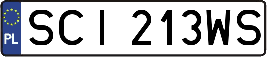 SCI213WS